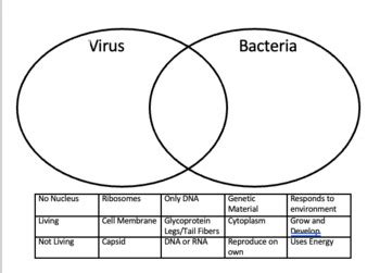 virus and bacteria venn diagram worksheet answers